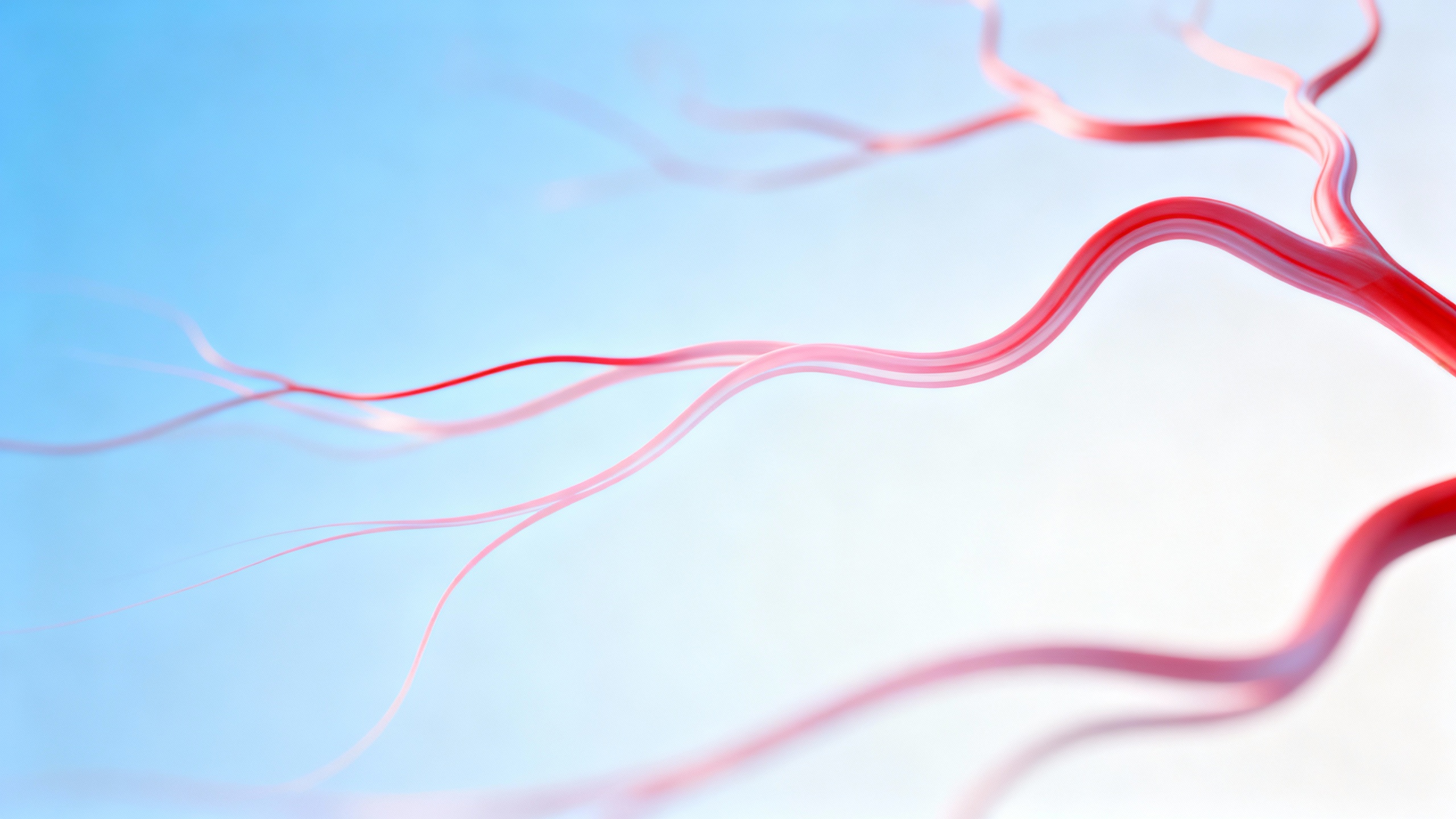 Featured image for What Type Of Skin Condition Is Shingles?